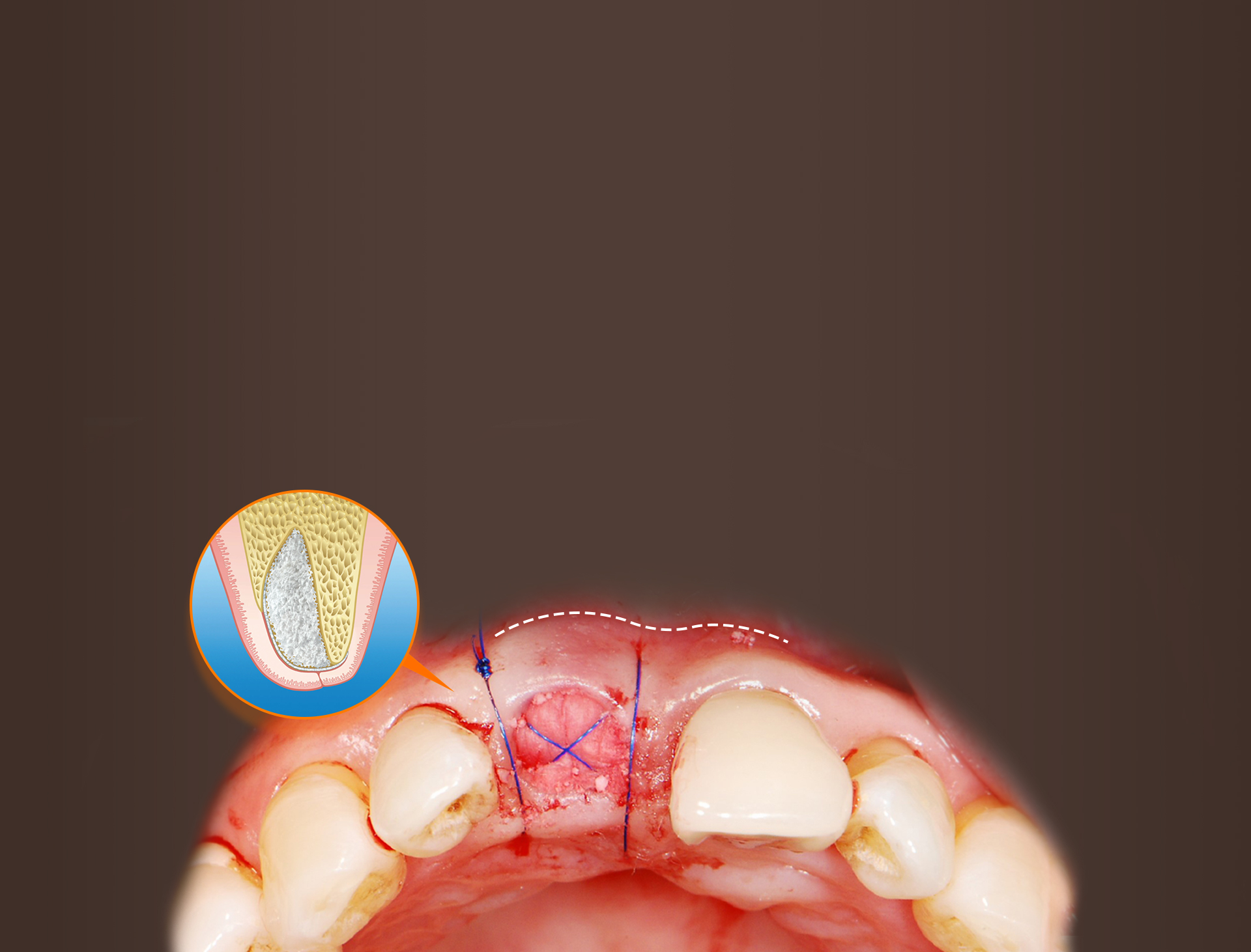 굿데이의특별함