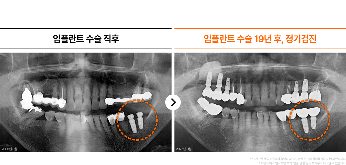 굿데이의특별함